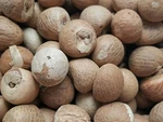 Dried Organic Areca Slices Herbal Betel Nut Pure Natural From Ceylon 100G. Fixed Price $15.59.